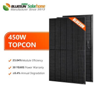 BLUESUN 450 Wp Bifacial Topcon N Type PV Modul BSM450M10-54HNH Full Black