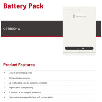 Chisage 5 kWh Niedervolt Speicher 51,2V 100 Ah CE48100-W