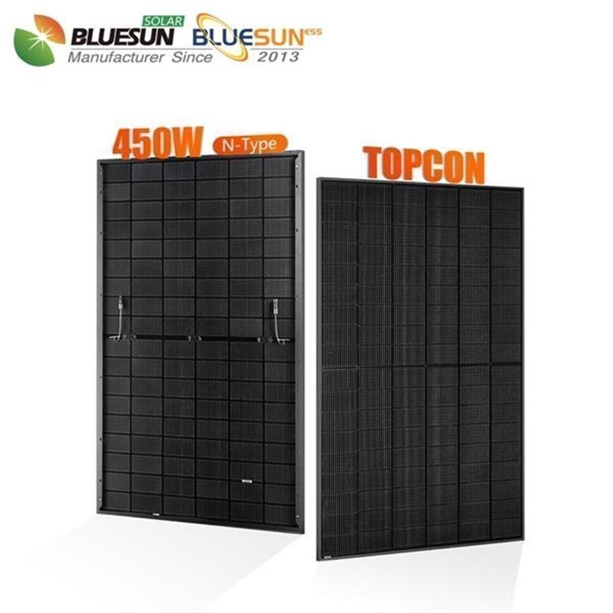 Balkonkraftwerk 900W: Bluesun 450Wp + Fox ESS 800W, 272,51