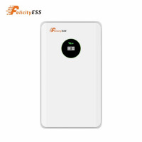 Felicity 10,5 kWh Niedervolt Speicher 51,2V 200 Ah LiFePO4 LUX-E-48200LG03