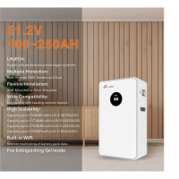 Felicity 10,5 kWh Niedervolt Speicher 51,2V 200 Ah LiFePO4 LUX-E-48200LG03