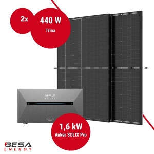 Balkonkraftwerk mit Speicher – 2x Trina 440 W +...