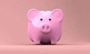 Sparschwein